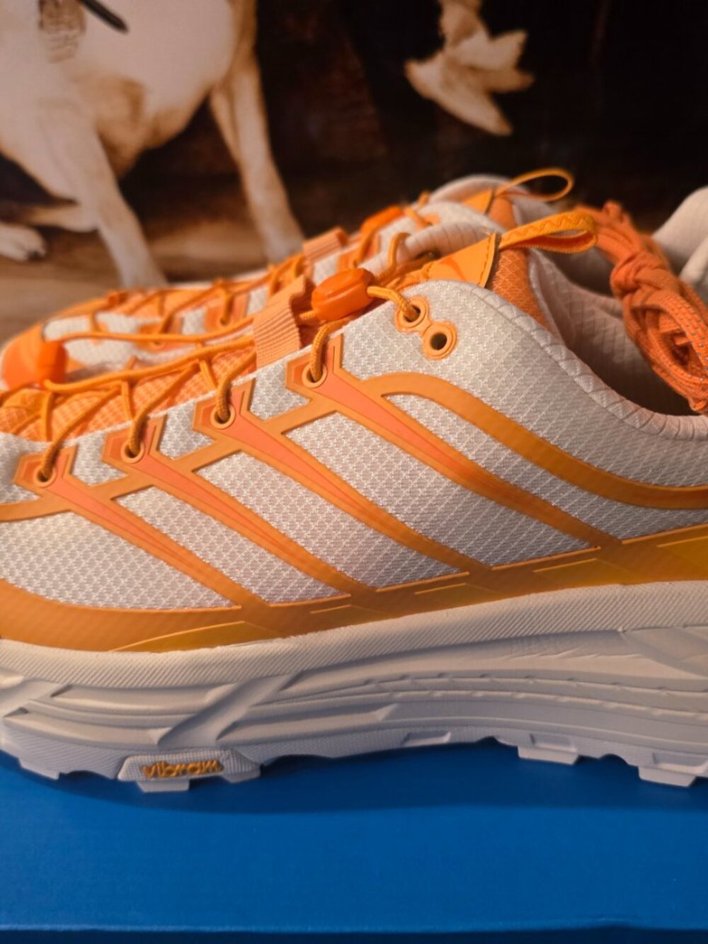 Hoka Mafate Three2 Sun Coral 1141572 / SRLL Running Hiking Shoes Mens 12 NEW - Picture 3 of 10